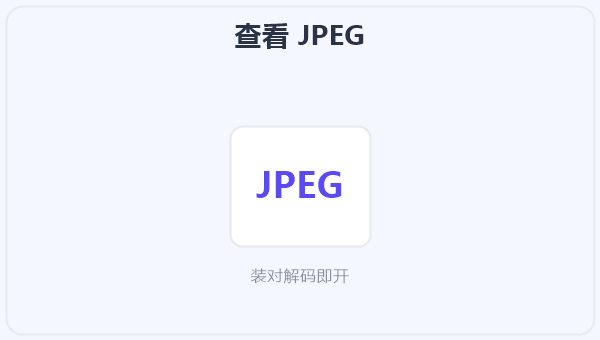 查看 JPEG 示意图