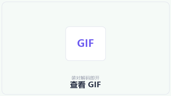 查看 GIF 示意图