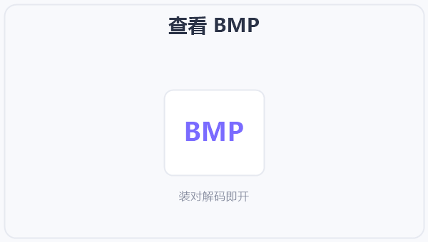 查看 BMP 示意图