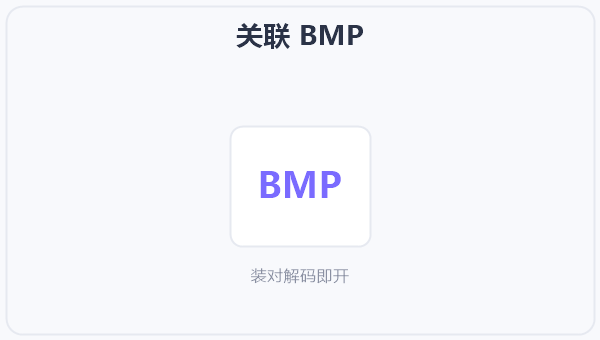 关联 BMP 示意图