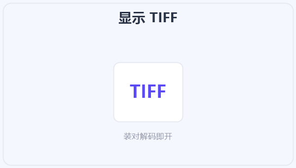 显示 TIFF 示意图