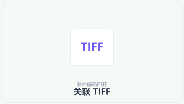 关联 TIFF 示意图