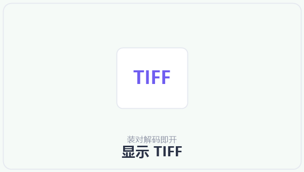 显示 TIFF 示意图