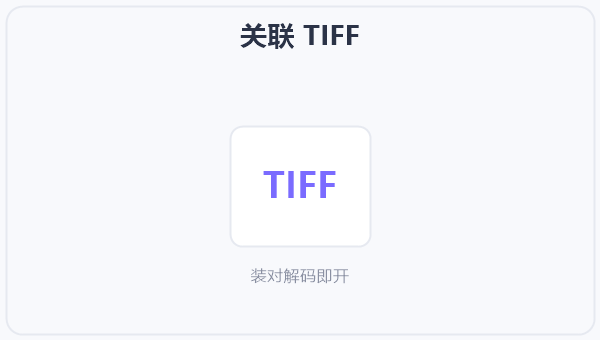 关联 TIFF 示意图