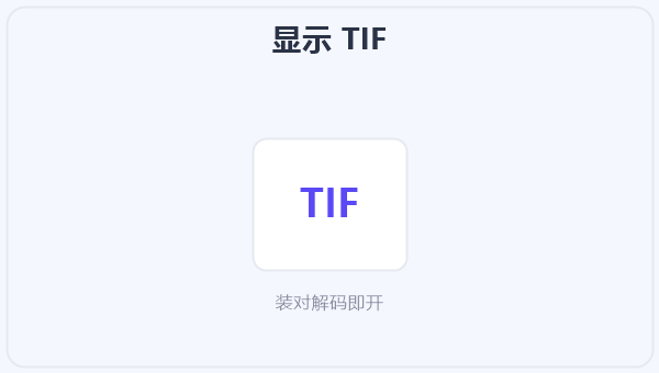 显示 TIF 示意图
