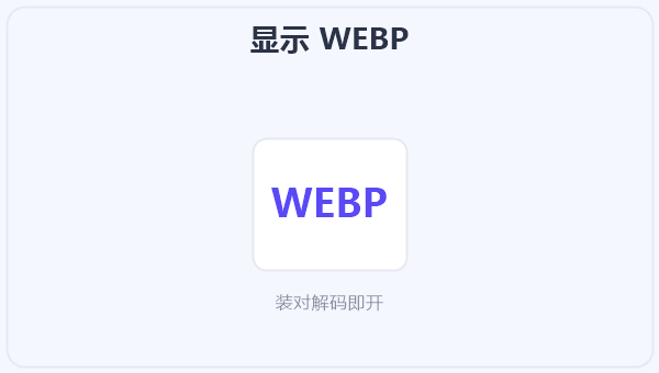显示 WEBP 示意图
