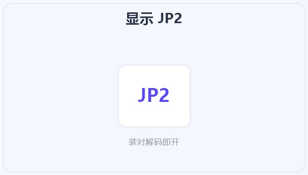 显示 JP2 示意图