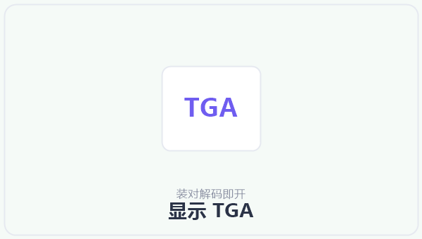 显示 TGA 示意图