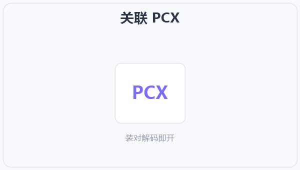 关联 PCX 示意图
