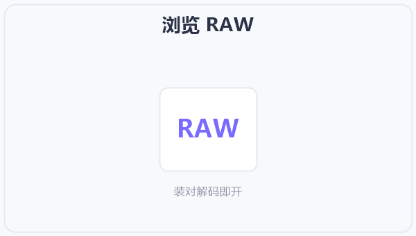 浏览 RAW 示意图