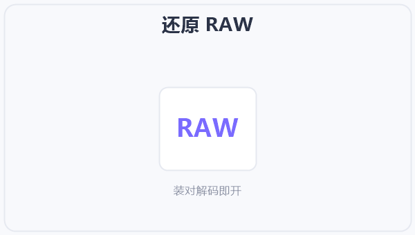 还原 RAW 示意图