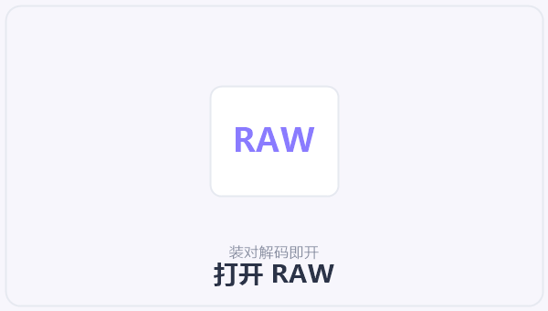 打开 RAW 示意图