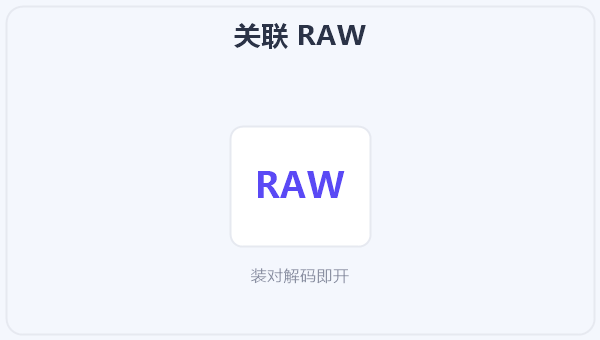 关联 RAW 示意图