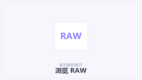 浏览 RAW 示意图