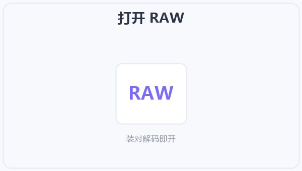 打开 RAW 示意图