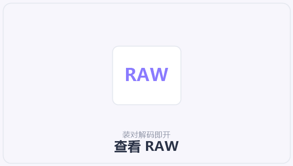 查看 RAW 示意图