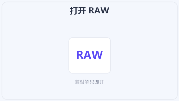 打开 RAW 示意图