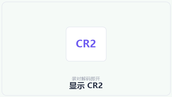 显示 CR2 示意图