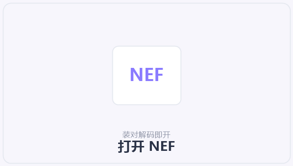 打开 NEF 示意图