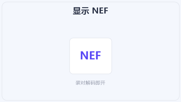显示 NEF 示意图