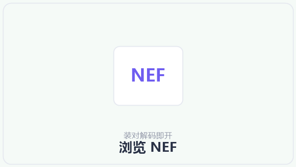 浏览 NEF 示意图