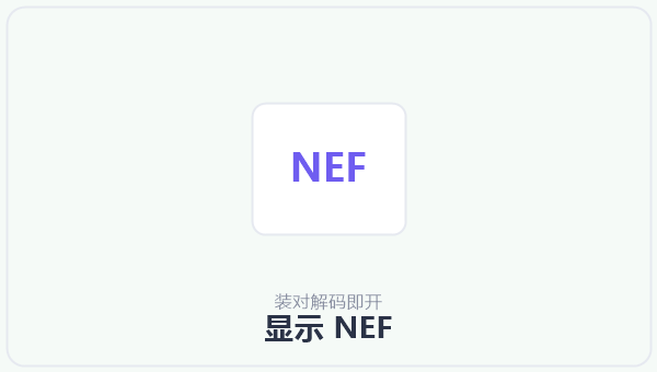 显示 NEF 示意图