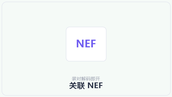 关联 NEF 示意图