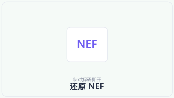 还原 NEF 示意图
