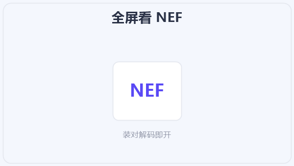 全屏看 NEF 示意图