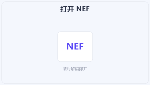 打开 NEF 示意图