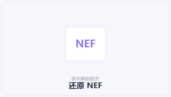 还原 NEF 示意图