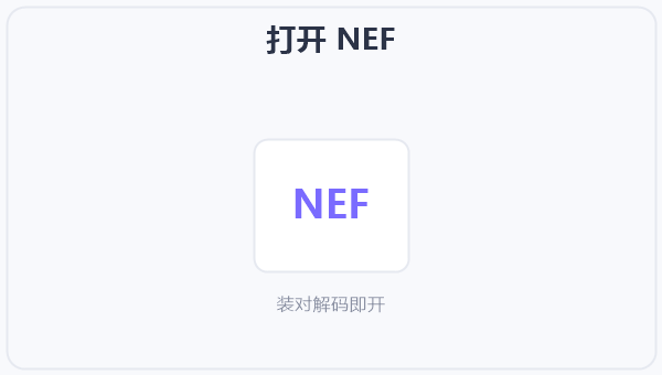 打开 NEF 示意图