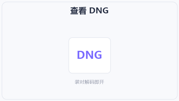 查看 DNG 示意图