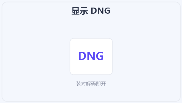 显示 DNG 示意图