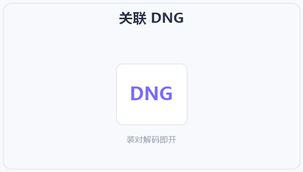 关联 DNG 示意图