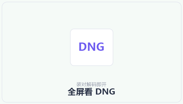 全屏看 DNG 示意图