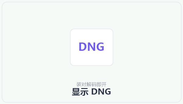 显示 DNG 示意图