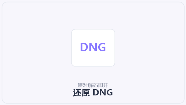 还原 DNG 示意图