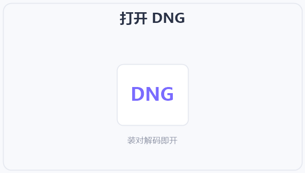 打开 DNG 示意图