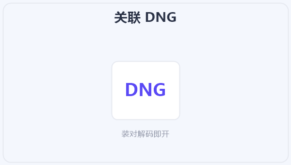 关联 DNG 示意图