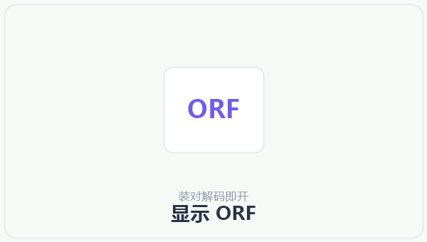 显示 ORF 示意图
