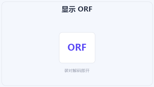 显示 ORF 示意图