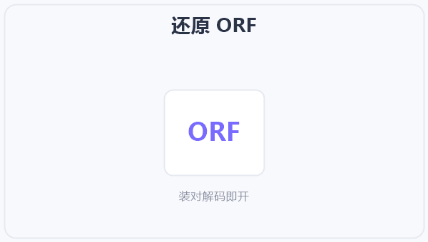 还原 ORF 示意图