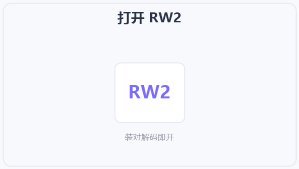 打开 RW2 示意图