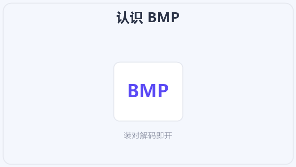 认识 BMP
