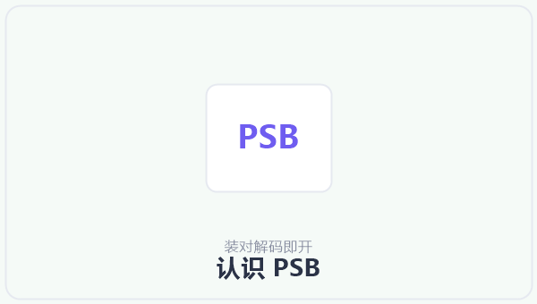 认识 PSB 示意图