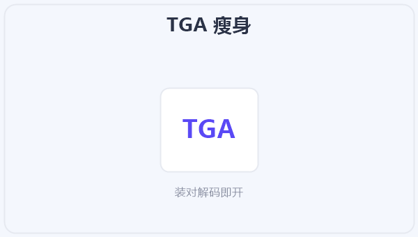 TGA 瘦身 示意图