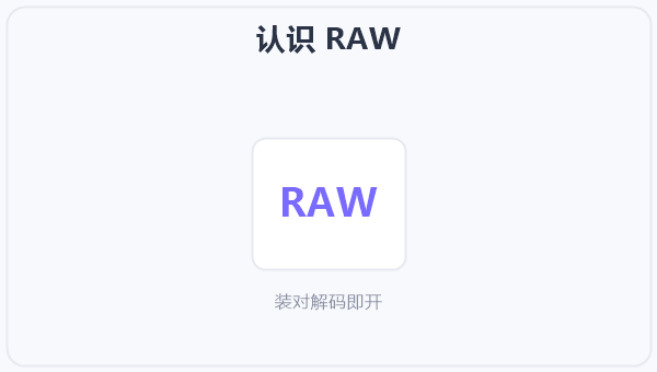 认识 RAW 示意图