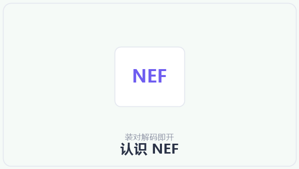 认识 NEF 示意图