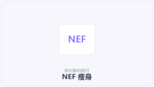 NEF 瘦身 示意图